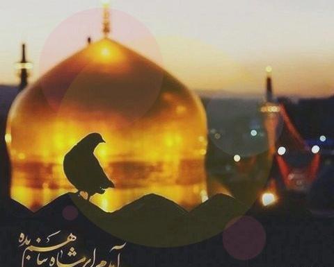 عکس نوشته سلام آقا امام رضا