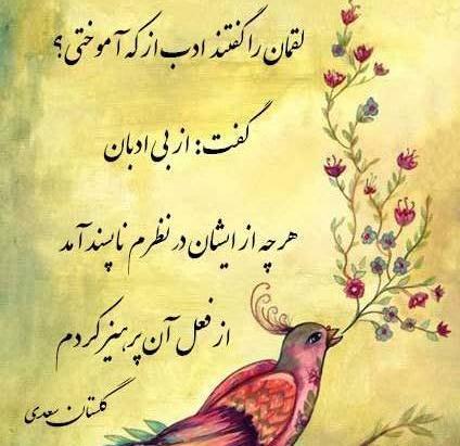 عکس میش شیرازی