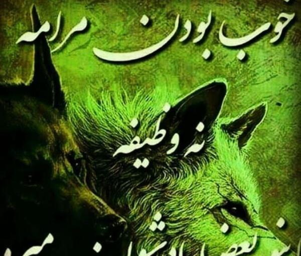 عکس نوشته سنگین خوب بودن