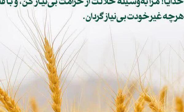 عکس نوشته اللهم اغننی بحلالک