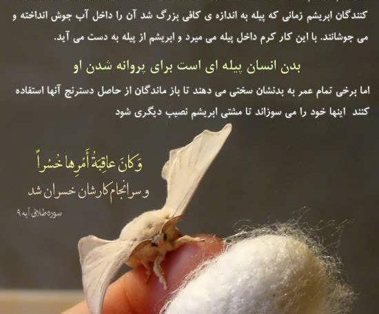 عکس نوشته پند آموز قرانی