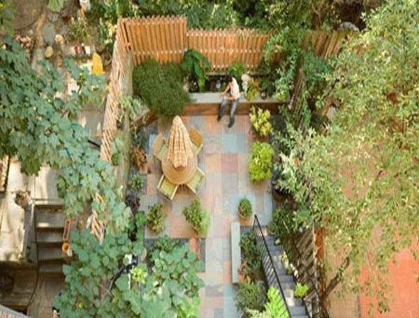 عکس برف در حیاط