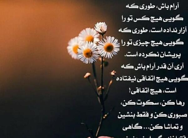 عکس نوشته آرام باش هیچ چیز ارزش این همه