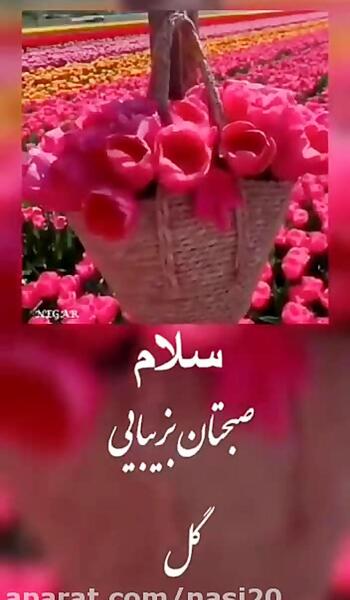 فیلم عکس نوشته سلام صبح بخیر