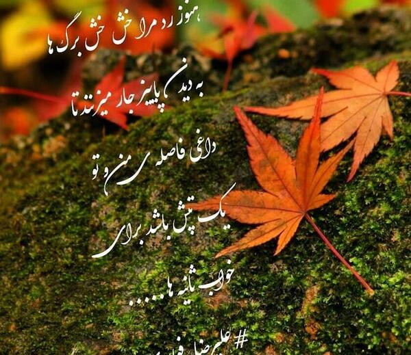 عکس نوشته درباره ی ظلم