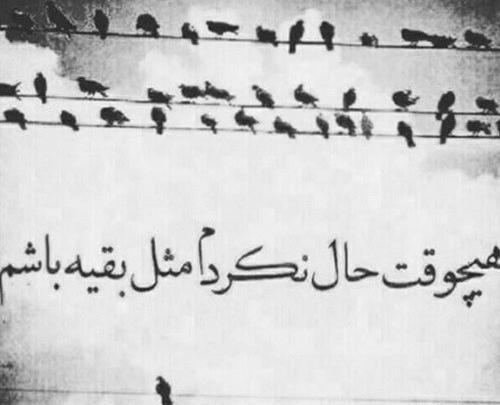 عکس نوشته گاهی وقتا باید زمین بخوری