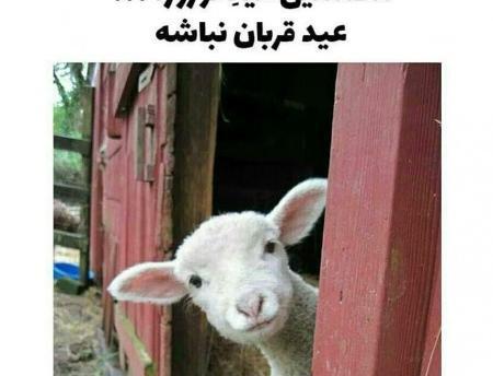 عکس نوشته تبریک سال نو خنده دار
