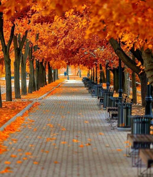 عکس و نوشته از پاییز