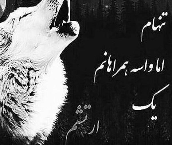 عکس نوشته شعر گرگ
