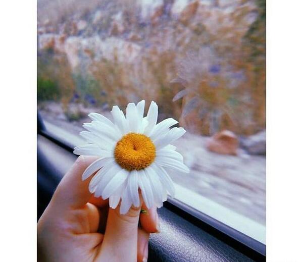 عکس ماه اسفند برای پروفایل