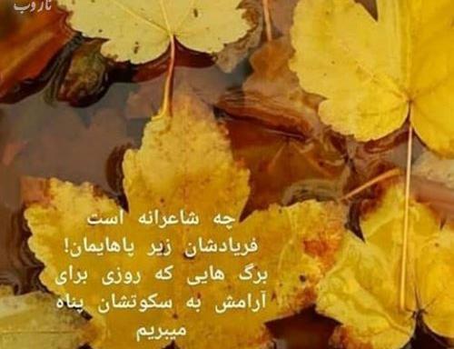 عکس نوشته شعر های پاییز