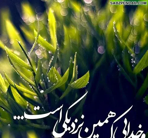 عکس نوشته شکرگزاری شبانه