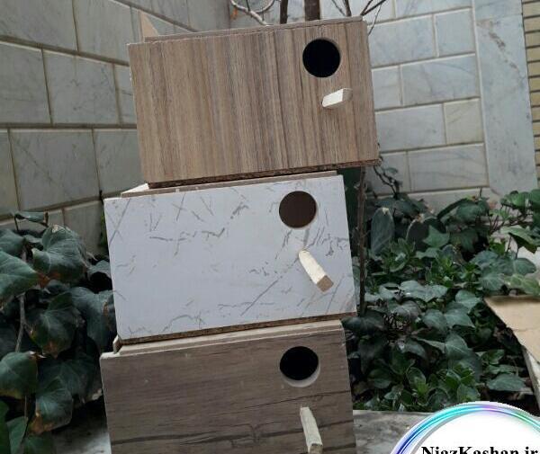 عکس لانه چوبی مرغ عشق
