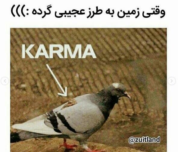 عکس نوشته های خنده دار ضد دختر