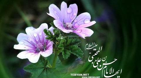 عکس نوشته تسلیت حضرت محمد و امام حسن مجتبی
