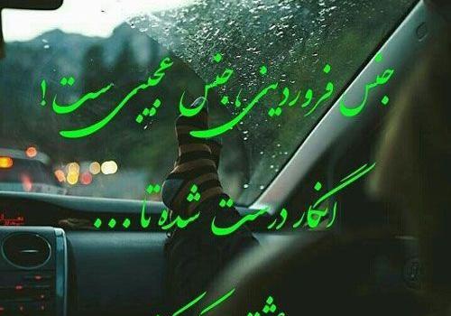 عکس درمورد فروردین ماهی ها