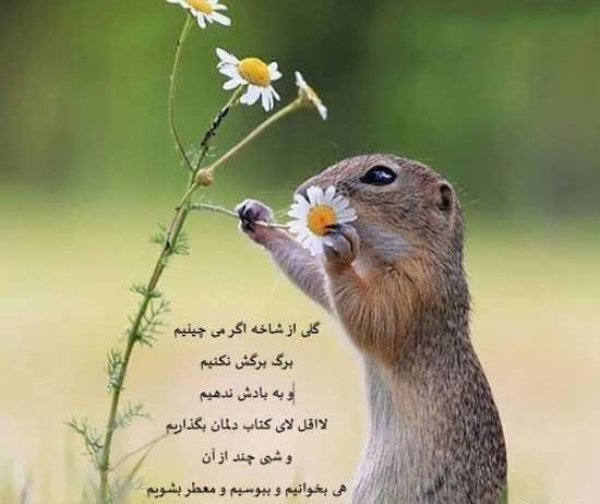 عکس نوشته سهراب سپهری در مورد خدا