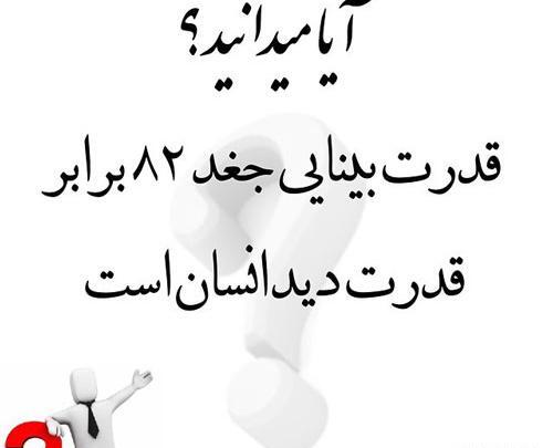 عکس نوشته های جالب و آیا میدانید