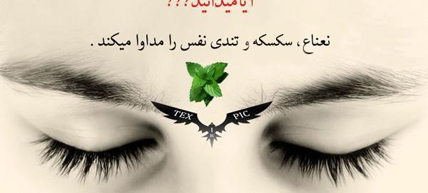 عکس نوشته های جالب و آیا میدانید