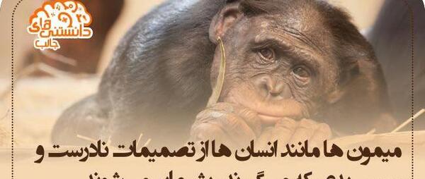 عکس نوشته های جالب و آیا میدانید