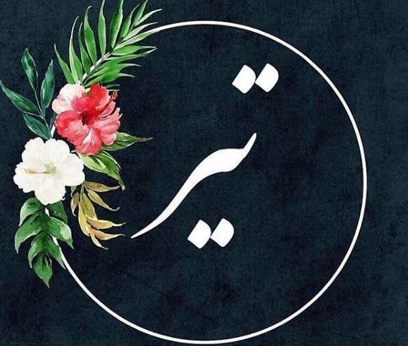 عکس نوشته تولد خواهرزاده تیر ماهی