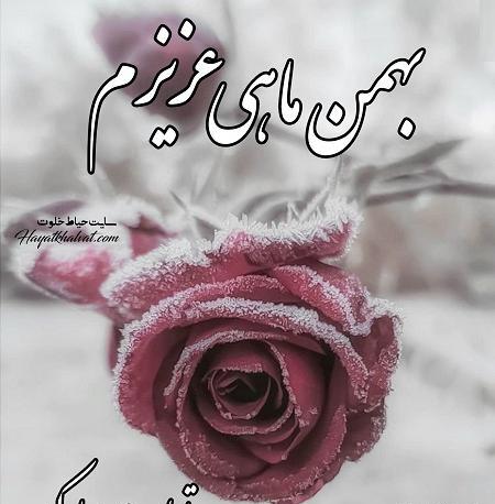 عکس بهمن ماهی جان