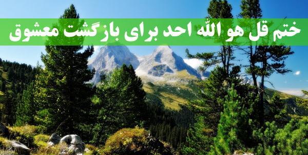 عکس نوشته قل هو الله