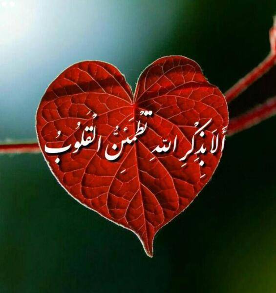 عکس نوشته الا بذکر الله تطمئن القلوب