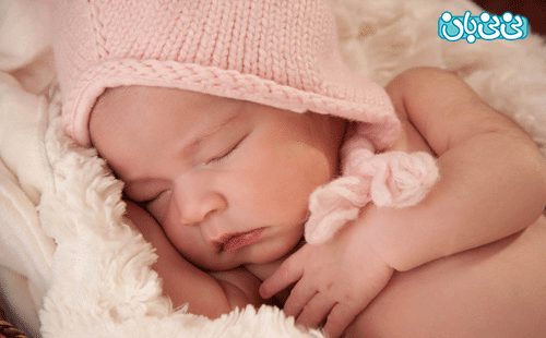 عکس موش تازه متولد شده