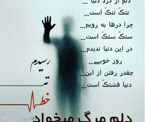 عکس نوشته دلم از همه جا رفتن میخواهد