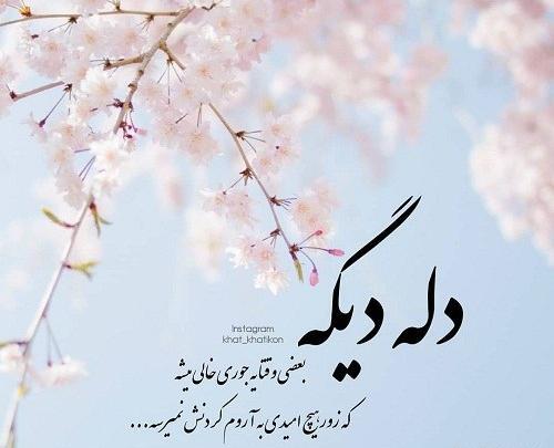 عکس نوشته دلم از همه جا رفتن میخواهد