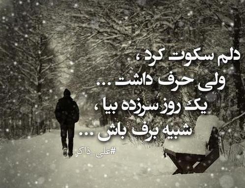 عکس نوشته باید سکوت کرد