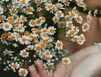 عکس نوشته از زندگی زیباست