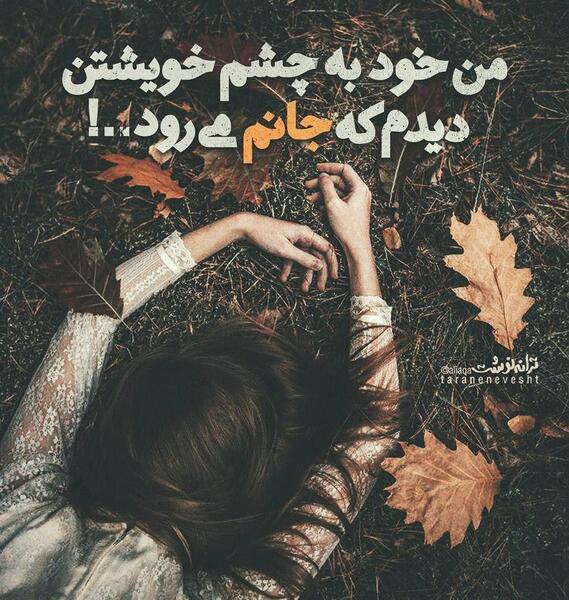 عکس نوشته آرام جانم میرود