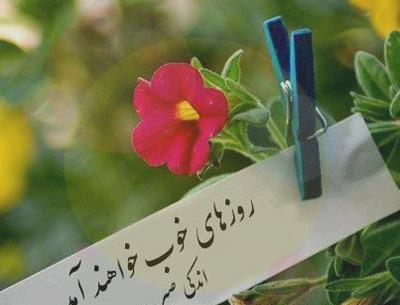 عکس نوشته آرام جانم میرود