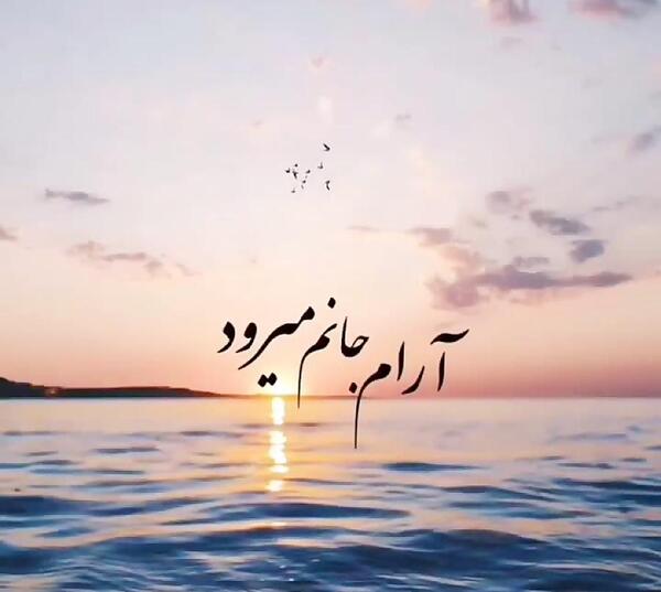 عکس نوشته آرام جانم میرود