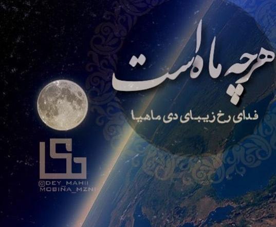 عکس دی ماهی زیبا