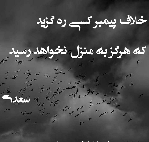 عکس نوشته شعر سعدی