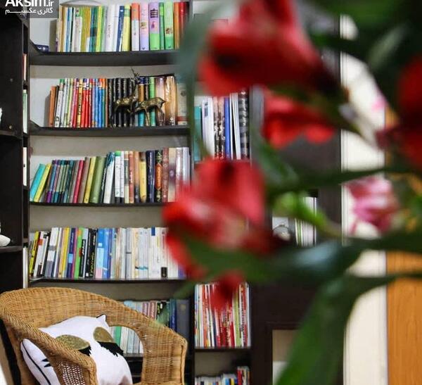 عکس کتاب و کتابخانه