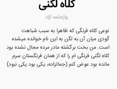 عکس کلاه لگنی