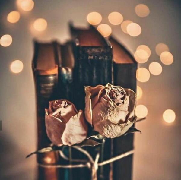 دانلود عکس گل برای پروفایل اینستاگرام