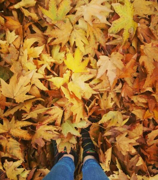عکس نوشته جذاب پاییزی