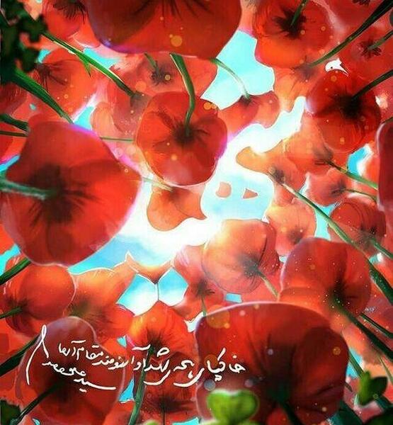 عکس نوشته از آخر مجلس شهدا را چیدند