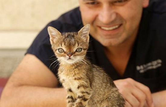 عکس جنین مبتلا به سندروم داون