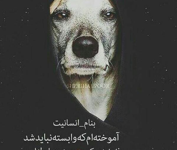 عکس نوشته تنهایی باحال تره
