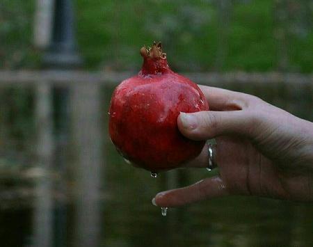 عکس شب یلدا واسه پروفایل