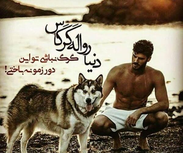 عکس نوشته باید گرگ باشی