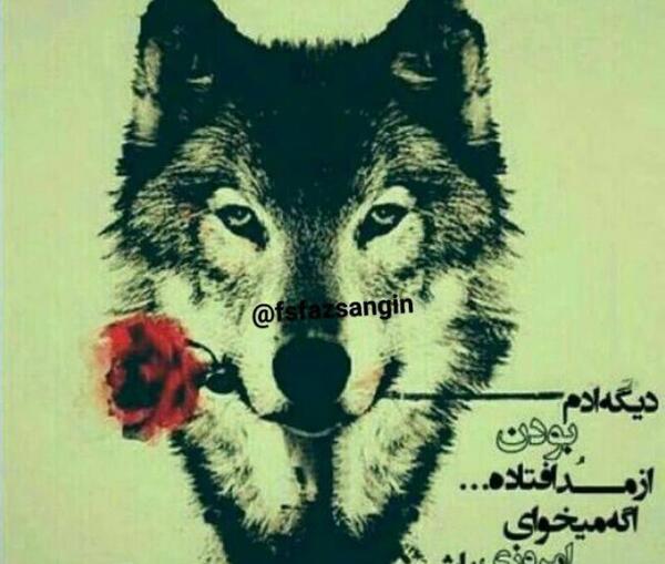 عکس نوشته باید گرگ باشی