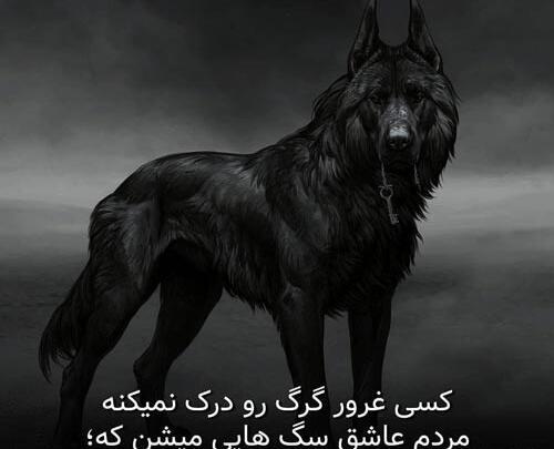 عکس نوشته باید گرگ باشی