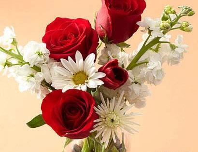 عکس گل جهنمی